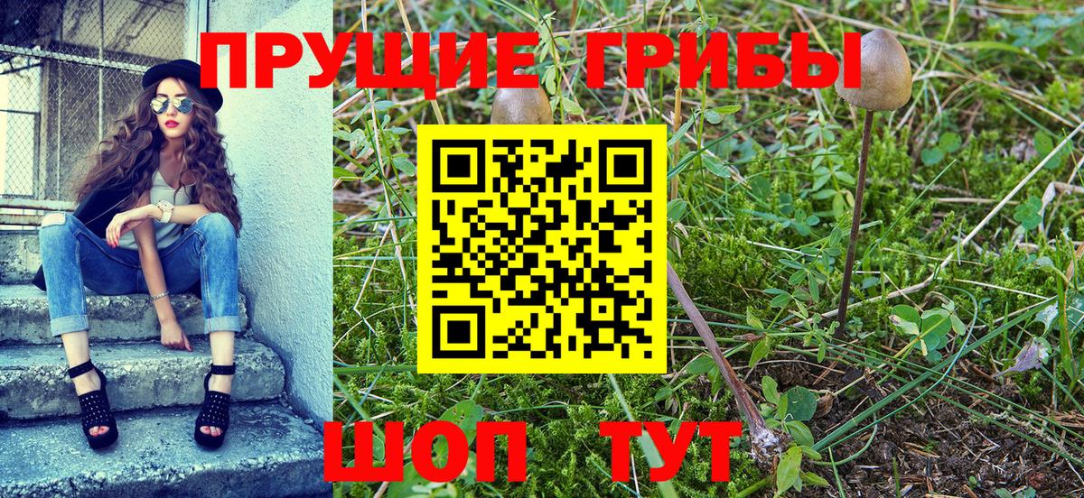 Реутов  Псилоцибиновые грибы мухоморы  купить   Вход с VPN 