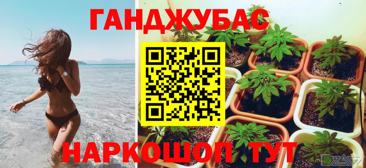Каннабис планчик Реутов